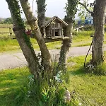 Tranquil Rural