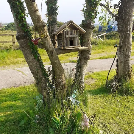 Tranquil Rural