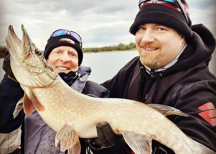 Tranquil Rural * Killashandra